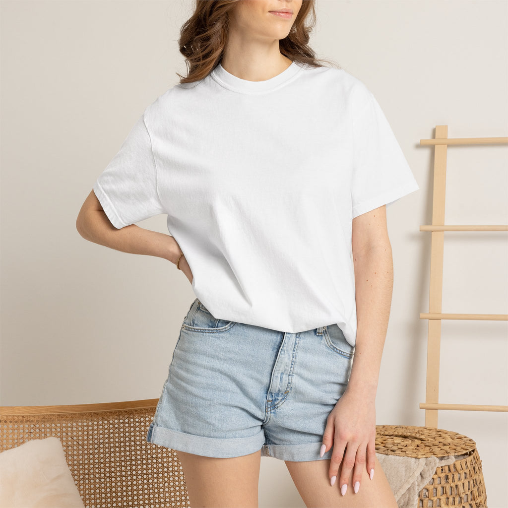 Ambition drive and collective strive Unisex Garment-Dyed T-shirt back design